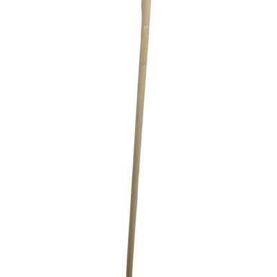 Coada Matura cu Filet 1.2m